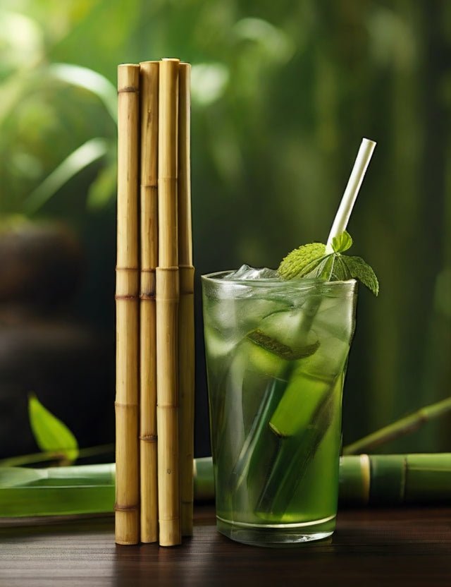 Why You Should Switch to Bamboo Straws and Explore Green Alternatives - TheEcoKitchenPlus